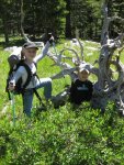 HikingAug11 006.jpg