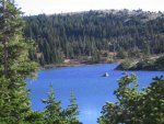 Deerhnt07 065.jpg