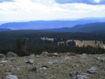 Deerhnt07 002.jpg