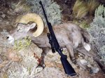 California Bighorn 9-5-98.jpg