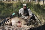 9-15 Sheep 015.jpg
