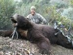 Brad's 2011 Bear.jpg