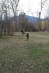 DSC_0087.jpg