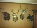 IMG_0081.jpg