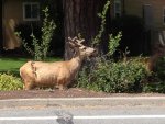 IMG_0478.jpg