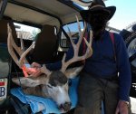 Mojave Desert Buck.jpg
