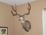 selfmuley.jpg