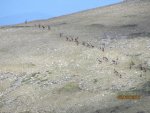 IMG_0384.jpg