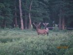 IMG_0352.jpg