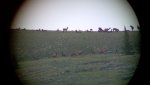 2012-07-02_17-32-06_646.jpg