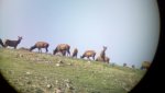 2012-07-03_17-07-27_269.jpg