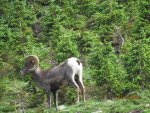 IMG_0395.jpg