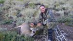 Deer 1 - Copy.jpg