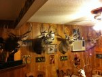 deer mounts 3.jpg