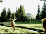 Runaway Basin 004.jpg
