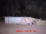 July 1st water tank 003.jpg