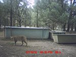 july 20 tank 001.jpg
