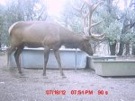 july 20 tank 047.jpg
