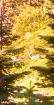 bbeec3f1-c62c-474e-ac3b-8cd91c7f5c62_zpsyrzey0vq.jpg