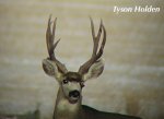 IMG_4878.JPG