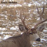 IMG_4730.jpg