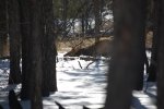 DSC_0254.jpg