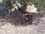 DSCN1160.jpg