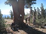 2013 High Sierras 145.jpg