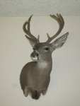 AZ_Coues.jpg