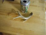DSCN0971.jpg