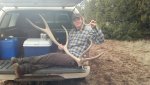 Big and small sheds 2015.jpg