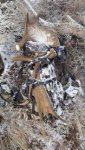 moose shed.jpg