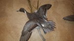 20160208_185316.jpg