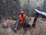 colorado elk 2015 041.jpg