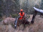 colorado elk 2015 040.jpg
