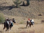 colorado elk 2015 057.jpg