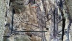 20160228_135239.jpg
