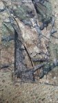 20160228_135733.jpg