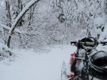 IMG_0156.jpg