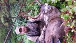 20141122_103041.jpg