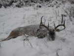 IMG_1624res.jpg