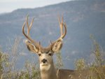IMG_0849.jpg