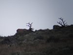 DSC01176.jpg