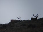 DSC01180.jpg