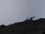 DSC01183.jpg