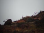 DSC01196.jpg