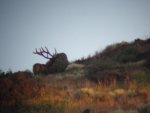 DSC01202.jpg