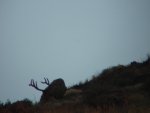 DSC01201.jpg