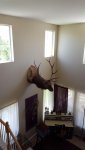 20160528_111610.jpg