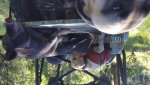 20160430_085733.jpg